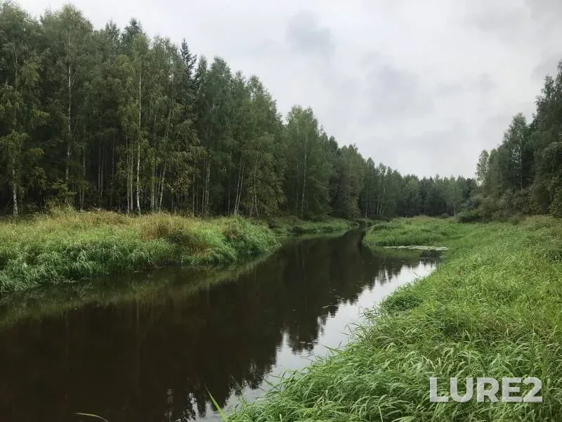 Щука — Аять, 29 авг. 2019 г.