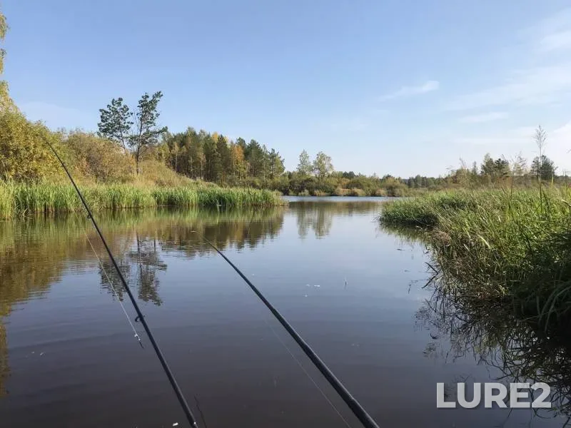 Окунь, Щука — Аять, 14 сент. 2019 г.