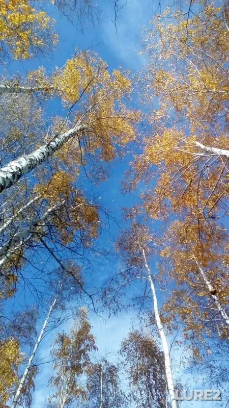 Щука — Аять, 06 окт. 2019 г.