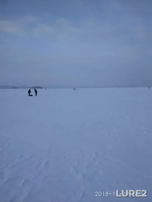 Лещ, Окунь — Исетское, 29 нояб. 2018 г.