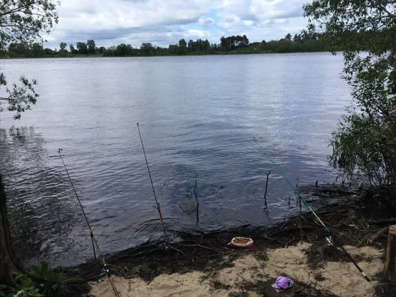 Окунь