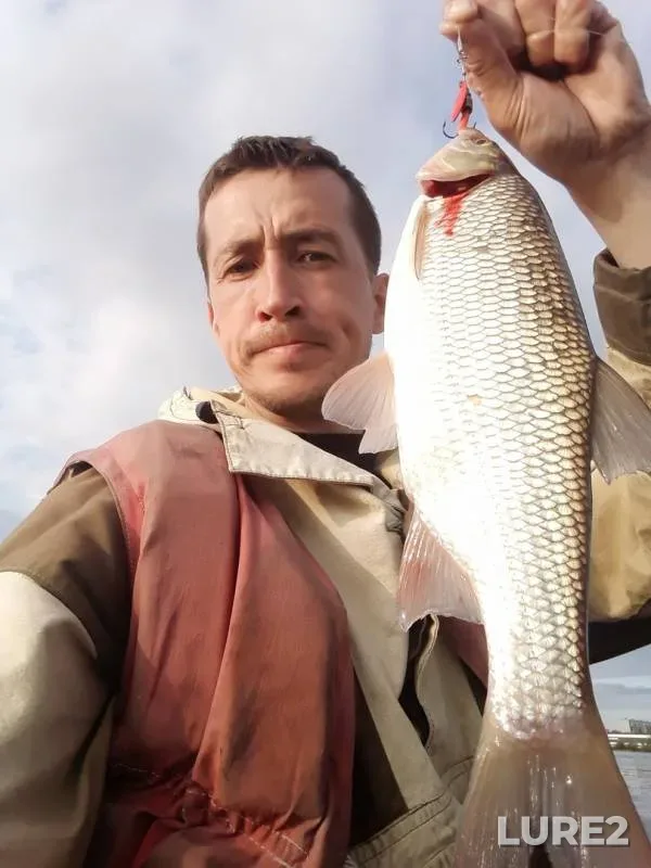 Язь