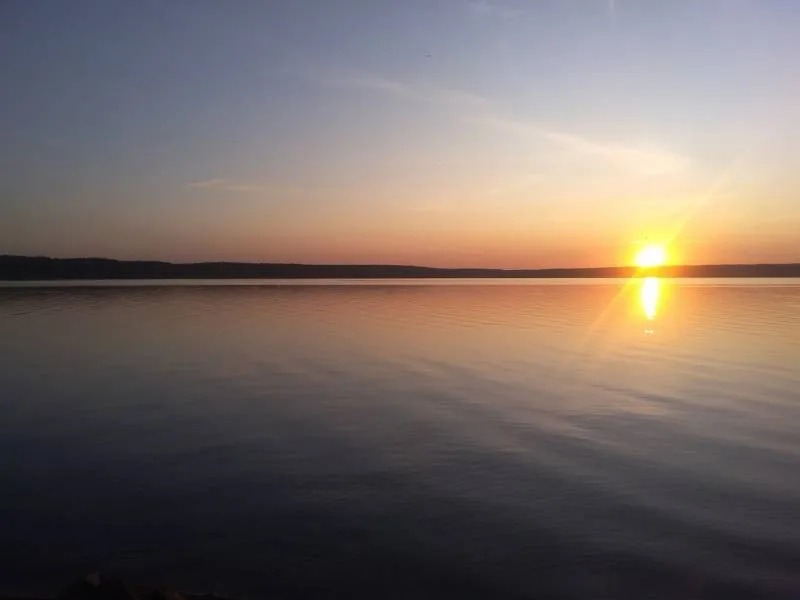 Лещ, Карась