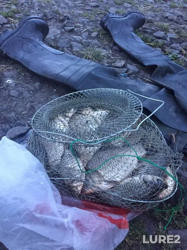 Карась — Уелги, 14 июл. 2019 г.