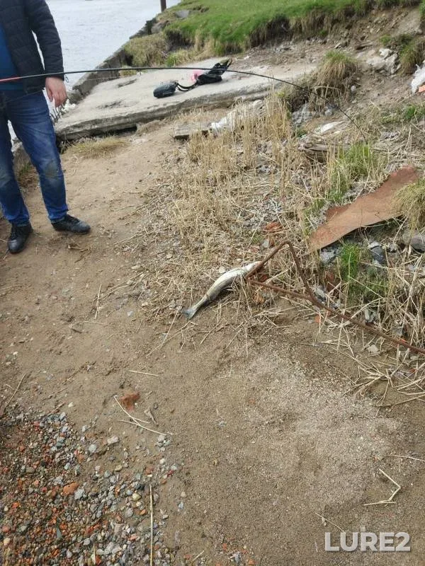 Судак — Нева, 26 апр. 2018 г.