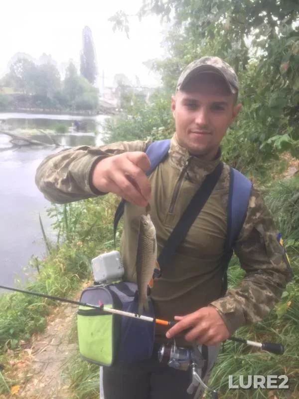 Голавль, Окунь