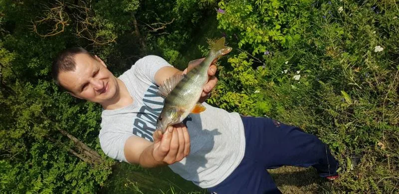 Окунь
