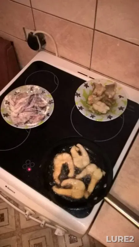 Щука — Эуштинская протока, 24 сент. 2019 г.