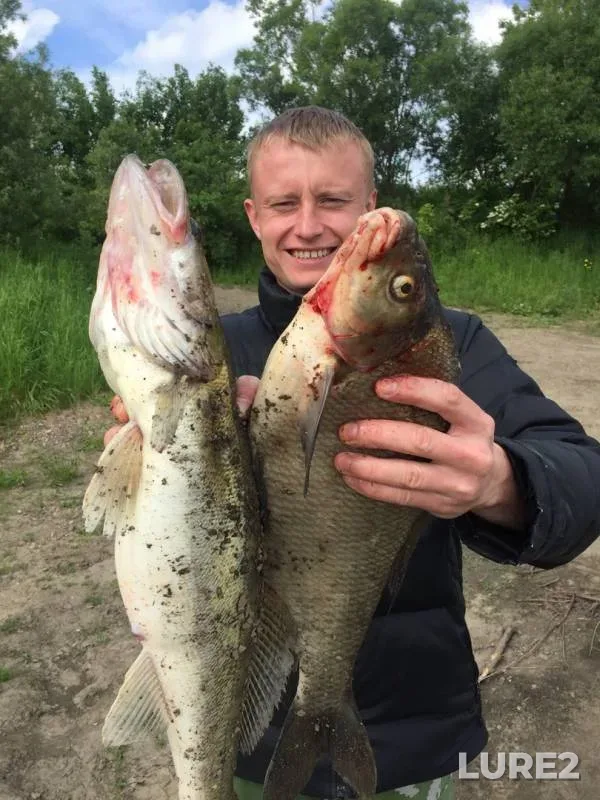 Лещ, Судак — Томь, 19 июн. 2019 г.