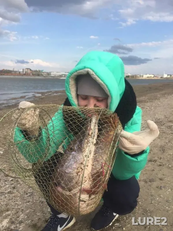 Щука — Томь, 19 мая 2019 г.