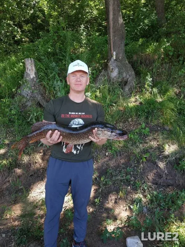 Щука — Кама, 20 июн. 2019 г.