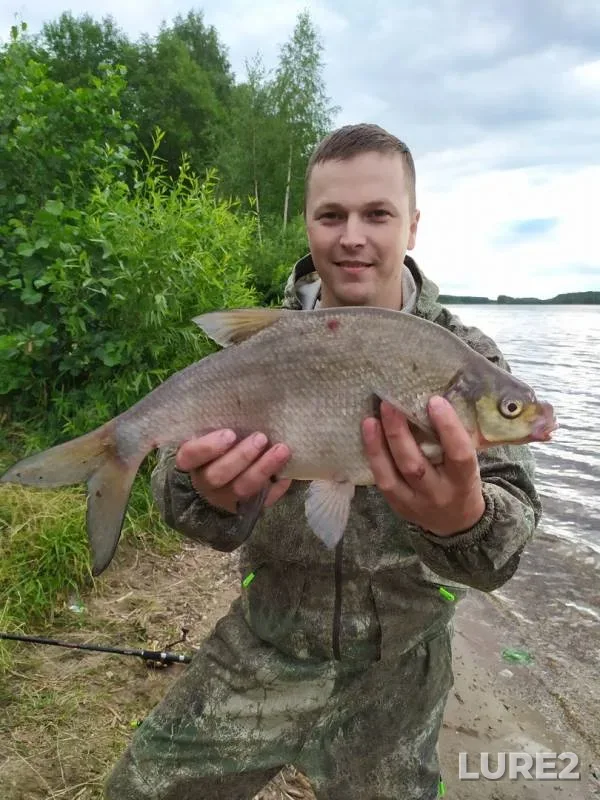 Лещ — Волга, 03 июл. 2019 г.