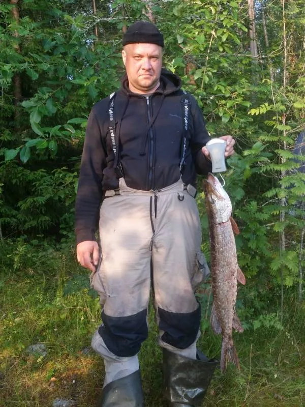 Щука