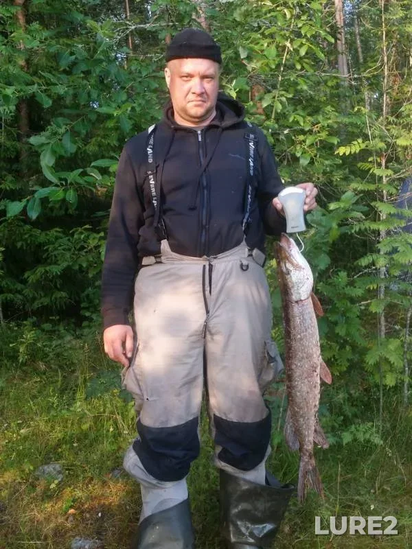 Щука