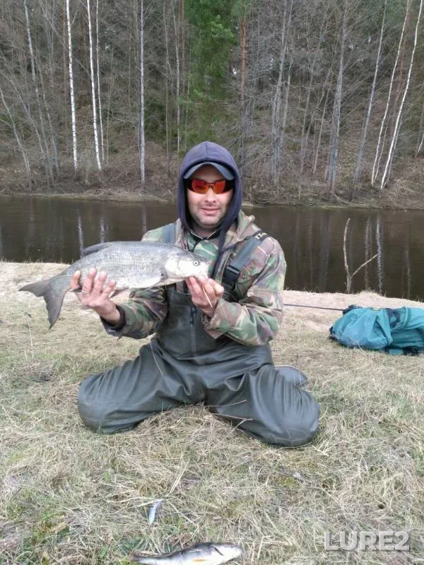 Жерех, Окунь — Друть, 19 апр. 2018 г.