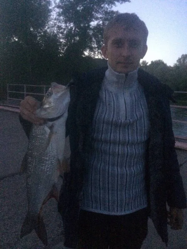 Жерех