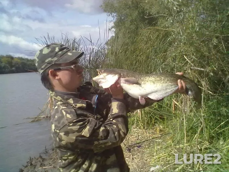 Сом — Днестр, 23 сент. 2013 г.