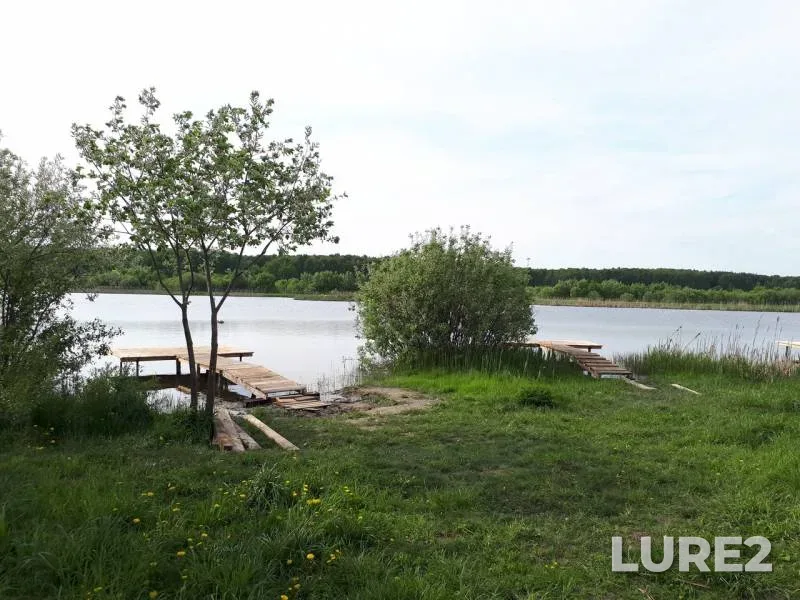 Карп — Московская область, городской округ Коломна, 18 мая 2018 г.