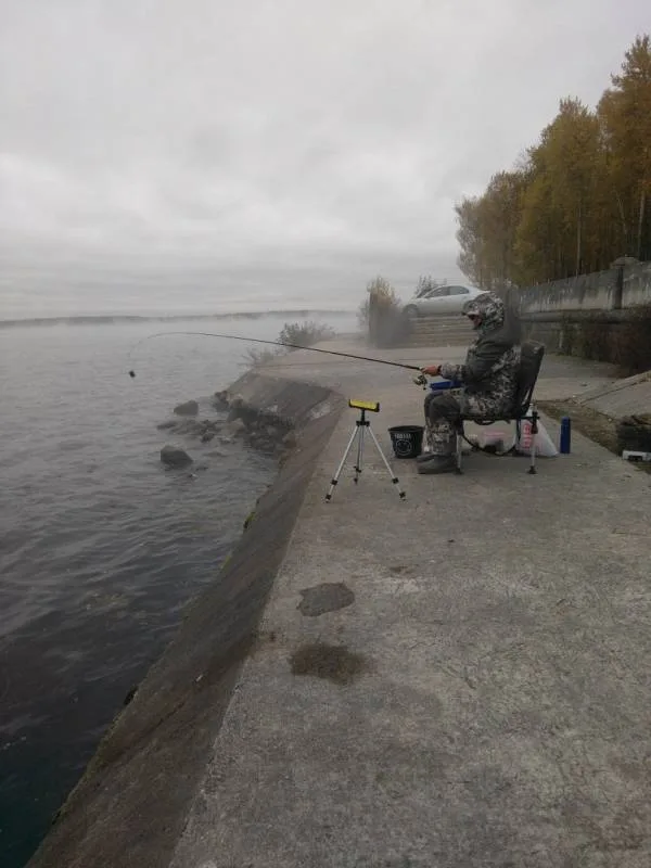 Уклейка, Карась