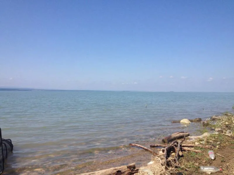 Лещ, Карась