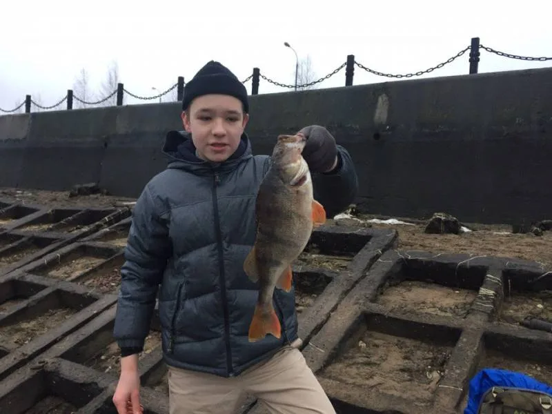 Окунь