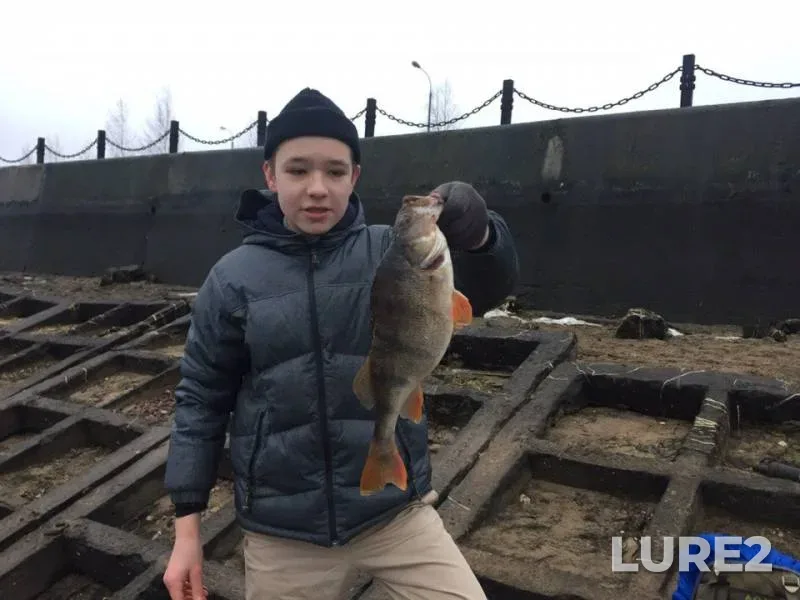 Окунь — Москва, 24 мар. 2018 г.