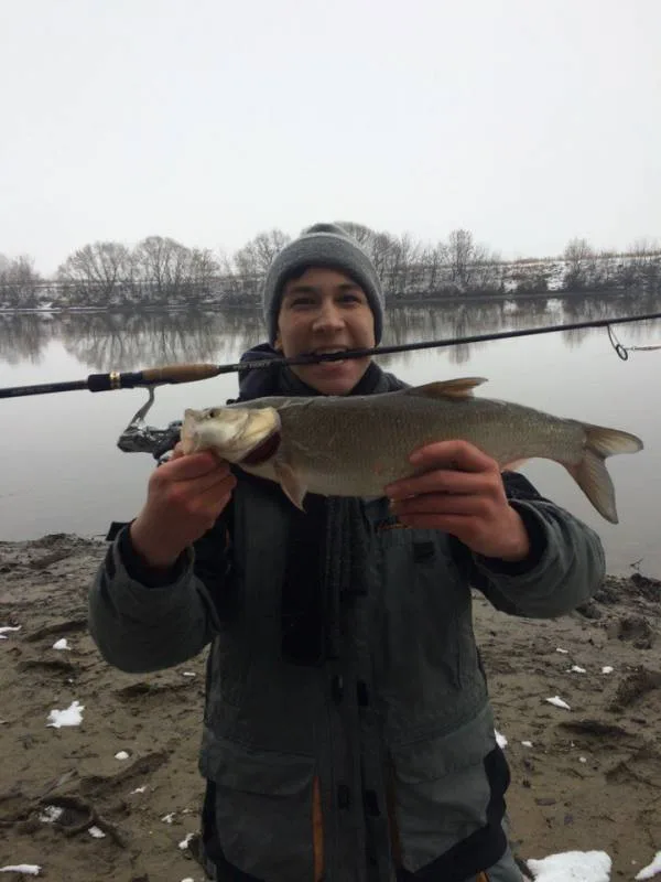 Жерех