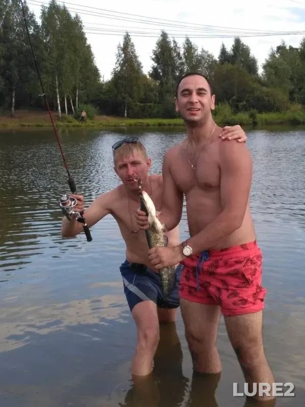 Сом — Московская область, Раменский городской округ, 19 авг. 2018 г.