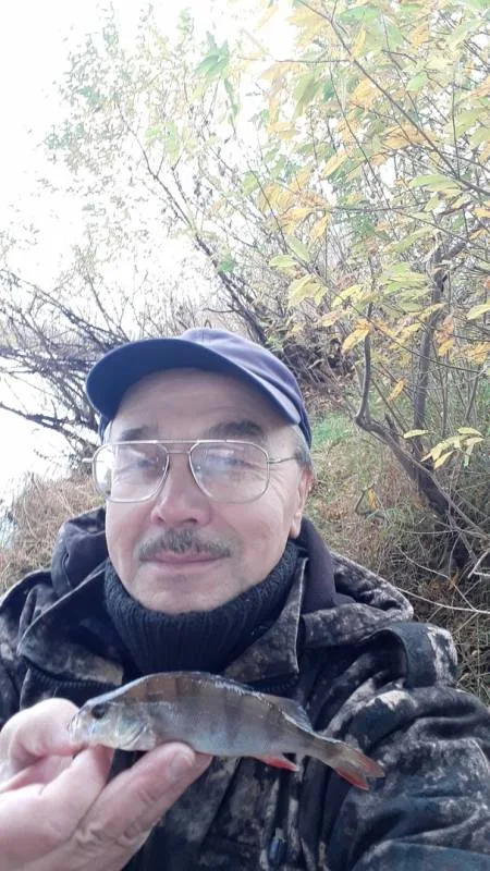 Окунь