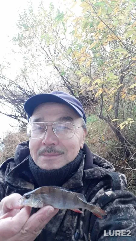 Окунь — Кама, 14 окт. 2019 г.