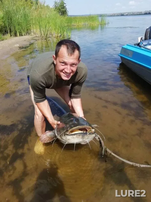 Сом — Волга, 11 авг. 2019 г.