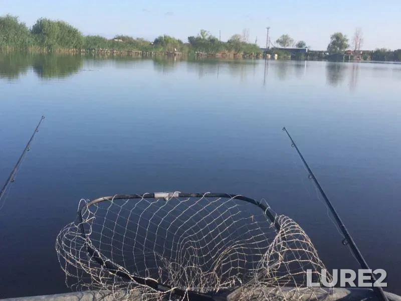 Карп, Окунь — Самарская область, 23 июл. 2019 г.