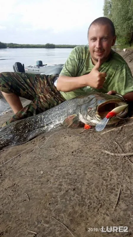 Сом — Вовцельно, 27 июл. 2019 г.