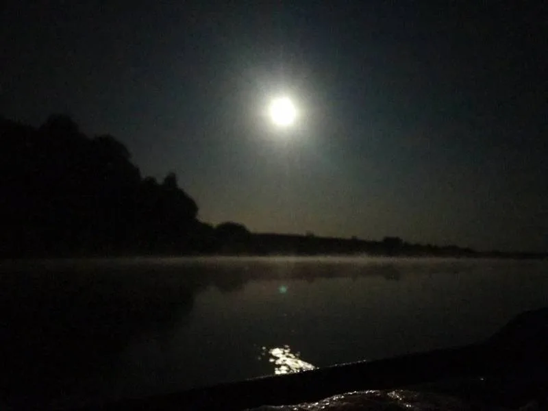 Голавль