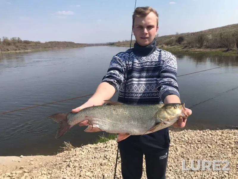 Жерех — Дон, 20 апр. 2019 г.