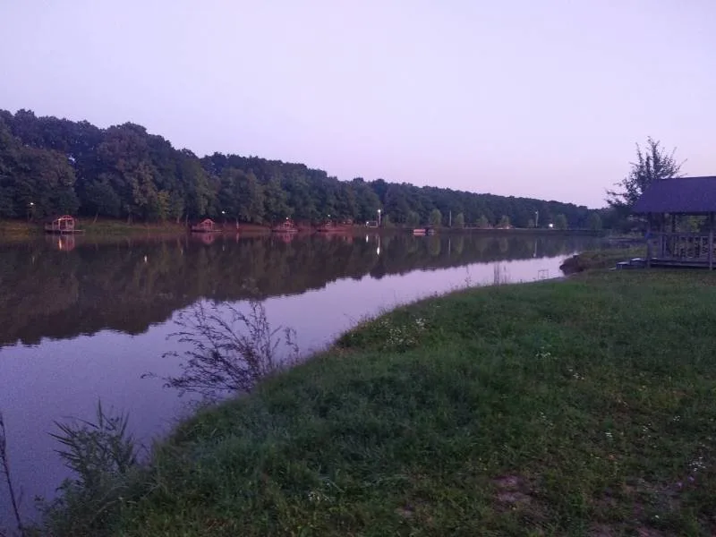 Карп