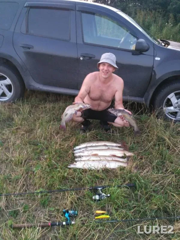 Щука — Кемеровская область, 4 авг. 2019 г.