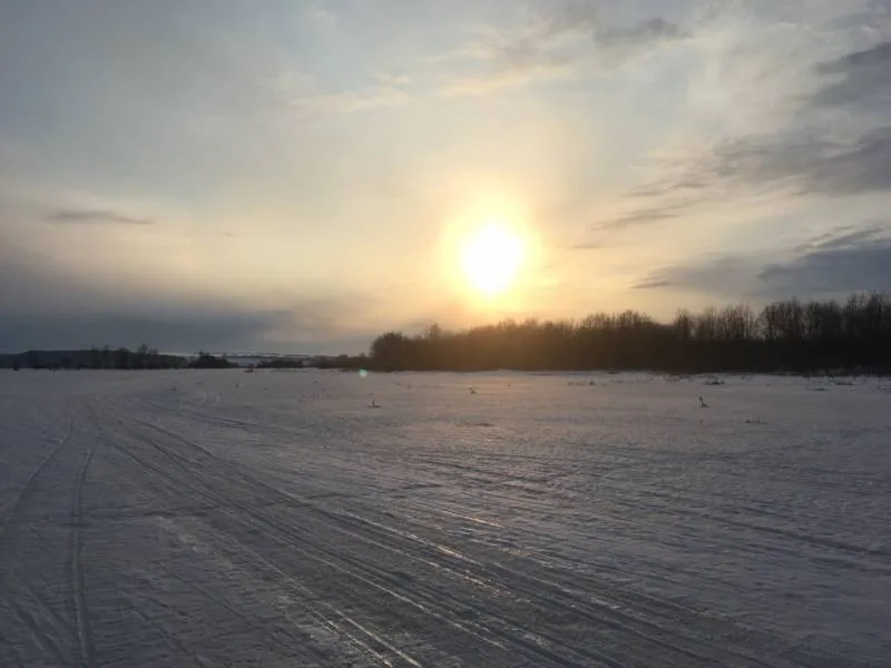 Окунь, Щука