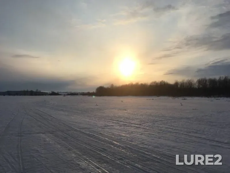 Окунь, Щука — Дурман, 25 мар. 2019 г.