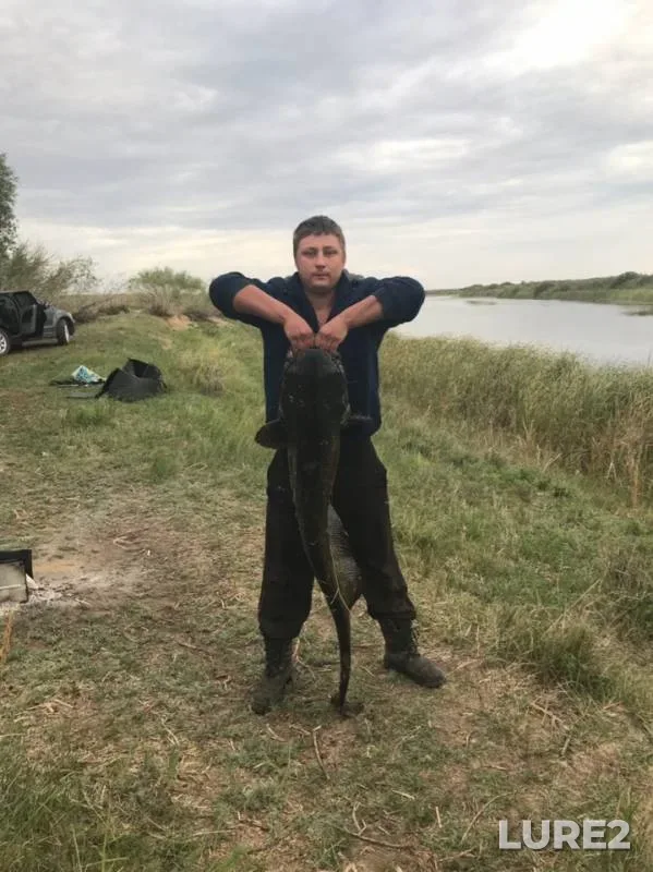 Сом — Актюбинская область, 20 авг. 2019 г.