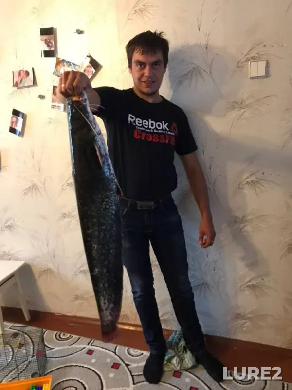 Сом — Свислочь, 09 сент. 2019 г.