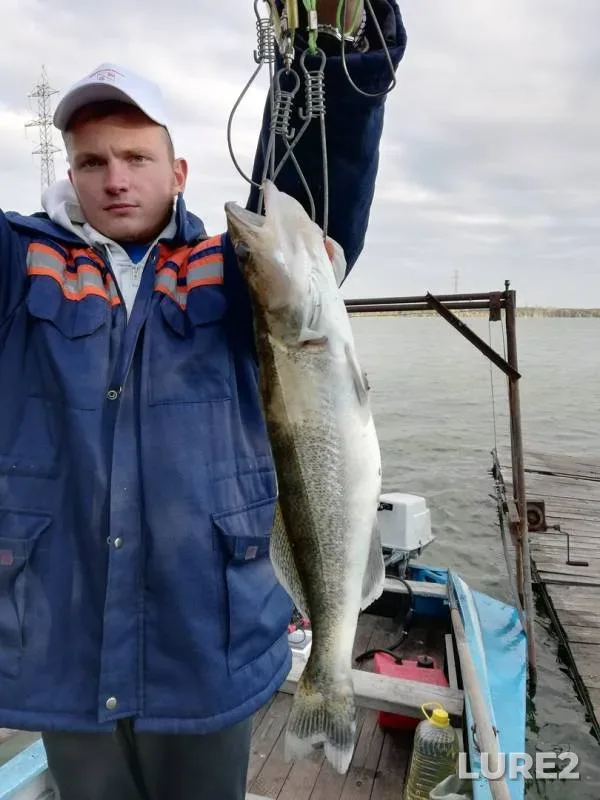 Судак — Воронеж, 28 сент. 2019 г.