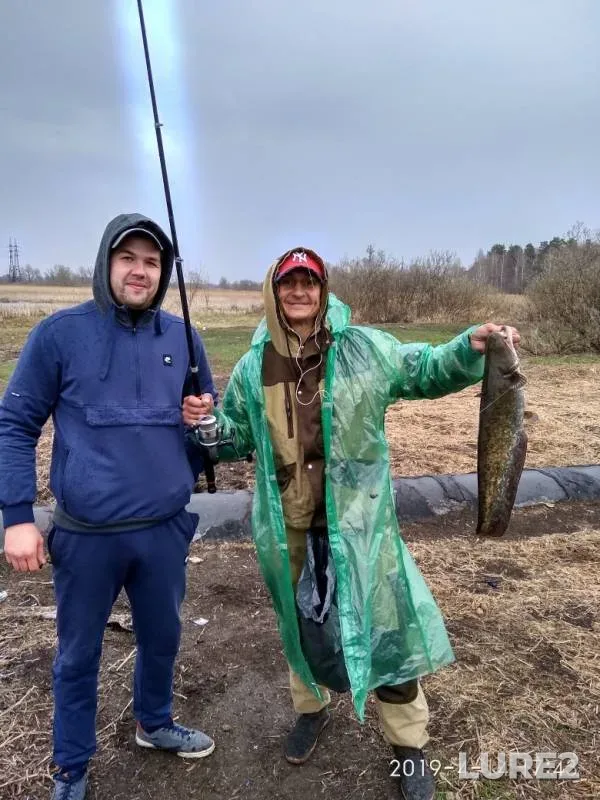 Сом, Щука — Воронеж, 14 апр. 2019 г.