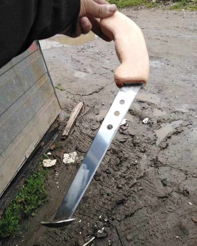 Сом