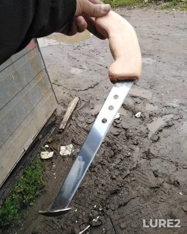 Сом