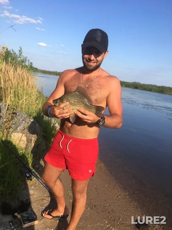 Карась