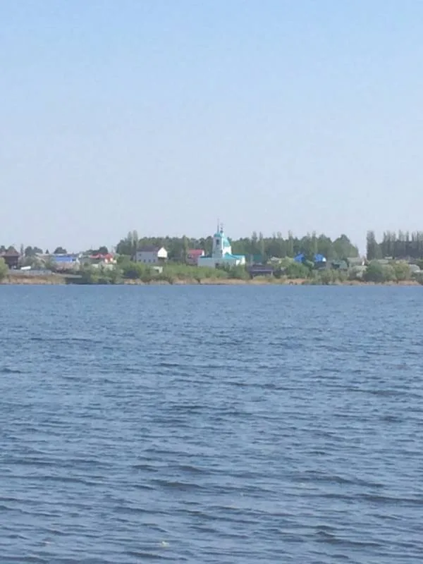 Карась, Плотва
