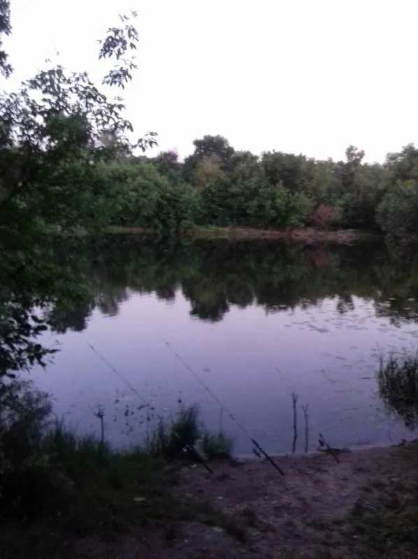 Голавль
