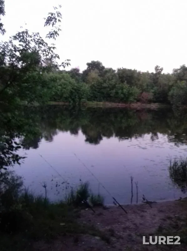 Голавль — Воронеж, 07 июн. 2019 г.