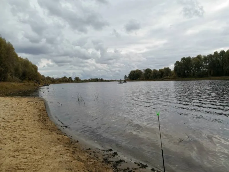 Красноперка